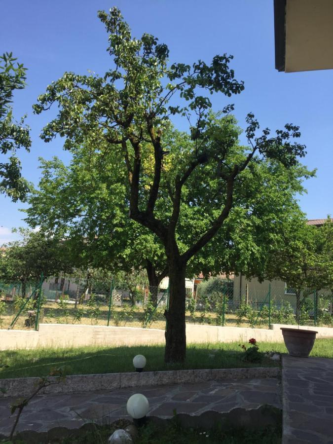 Villa Rita Monzambano Εξωτερικό φωτογραφία